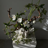Lotus Vase, Petit - Birch