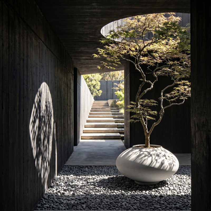 A minimalist outdoor architectural scene with a dark wooden walkway, a stone staircase in the distance, and a large Sunao Plant pot Elipse, Giant holding a small leafy tree in the foreground.