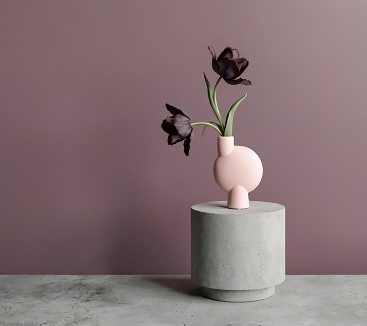 Sphere Vase in Rose with dark purple tulips 