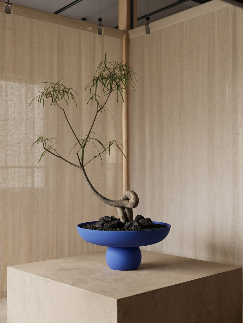 A minimalist bonsai-style tree arrangement in a Big Marrakech blue Baburu Bowl with dark pebbles, displayed on a light stone pedestal against a beige fabric backdrop.