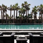 Brutus Lounge Chairs - Coffee - pool view with palms