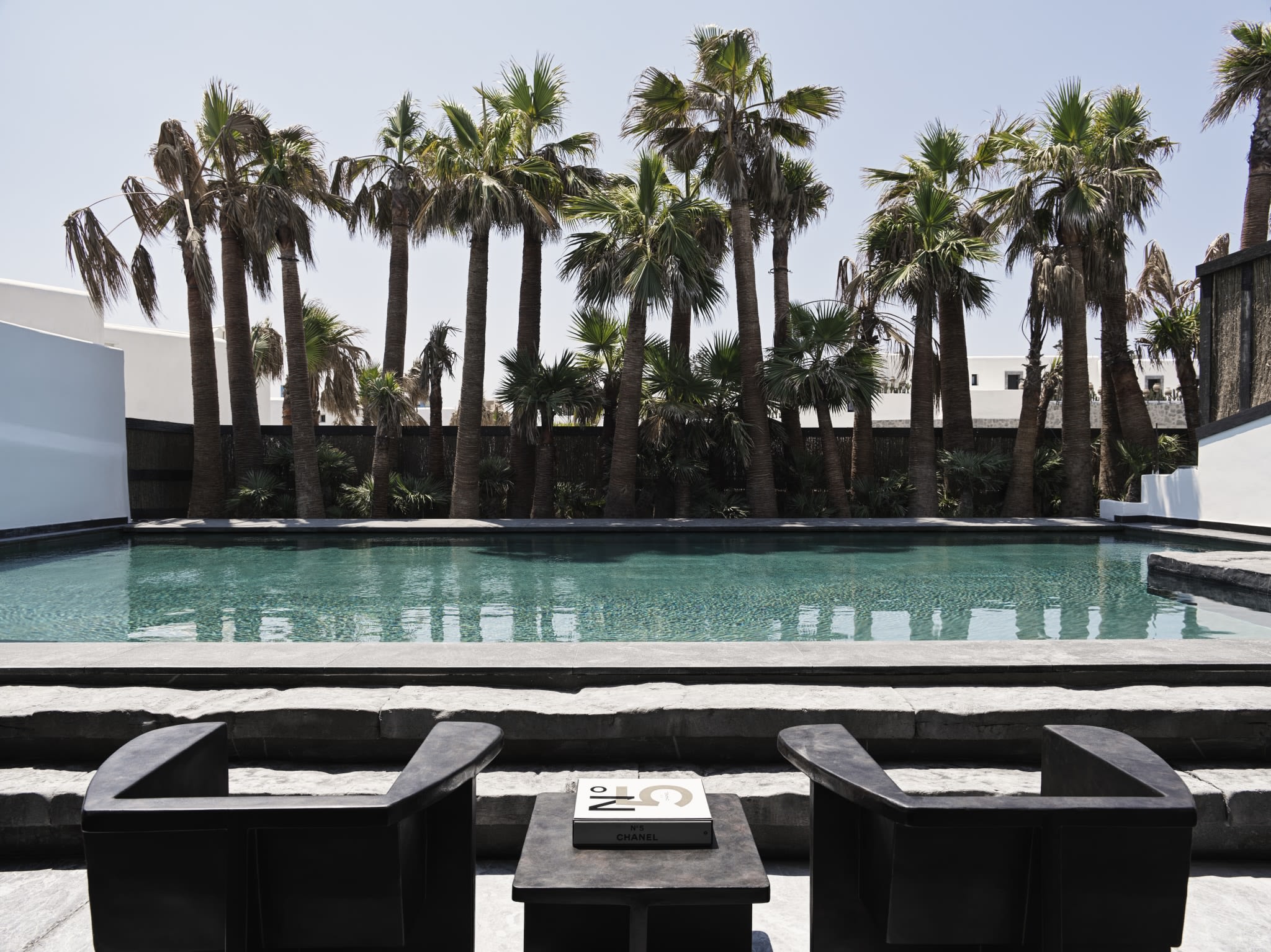 Brutus Lounge Chairs - Coffee - pool view with palms
