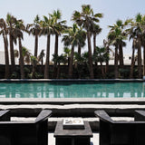 Brutus Lounge Chairs - Coffee - pool view with palms