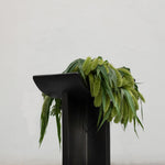 Brutus Stool - Coffee with plants