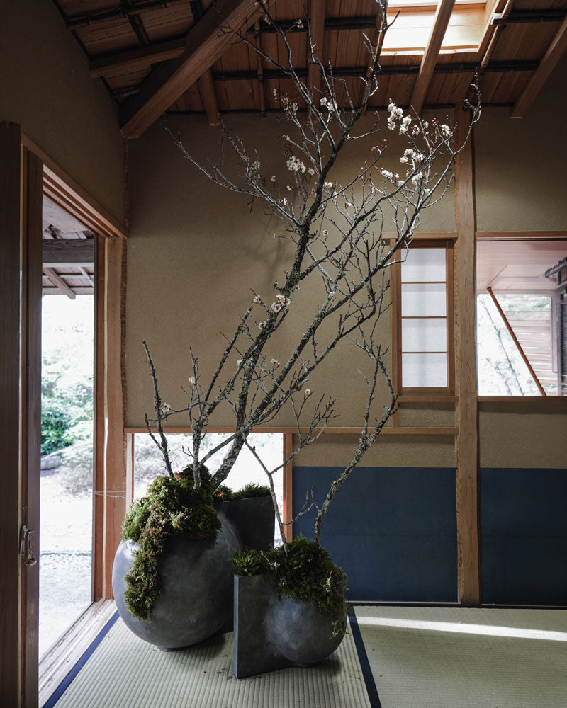 Offset Vases with Botanical arrangements by Hikaru Seino