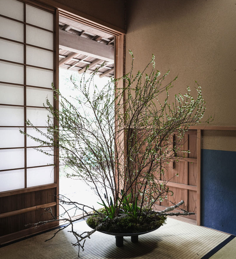 Decorative arrangement of branches by Hikaru Seino on Duck Plate on a tatami mat floor with sliding doors in the background.