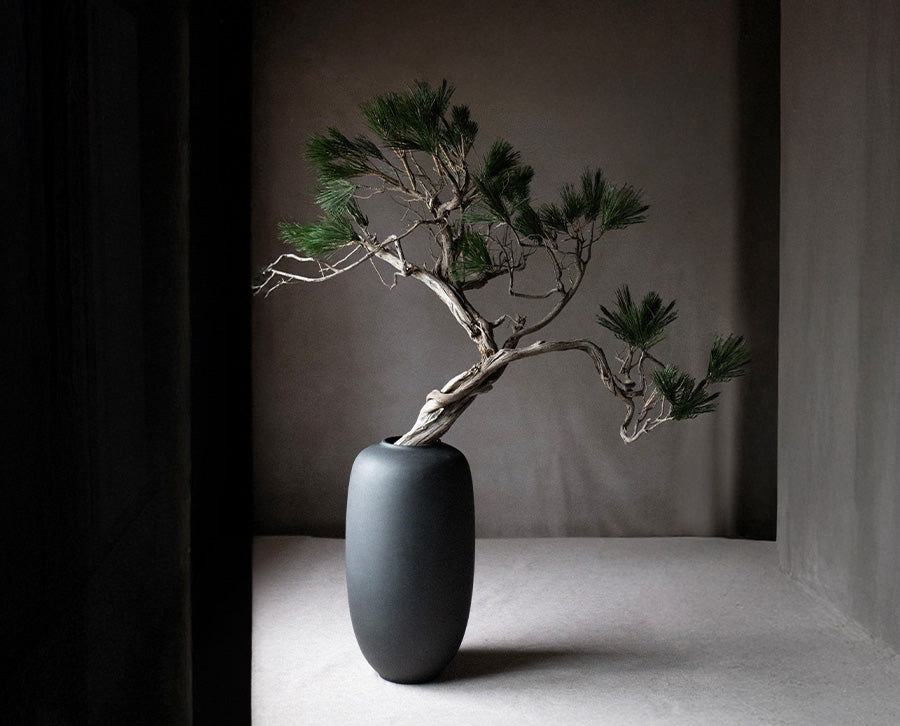 Sunao vase Slim Big Black styled by Labotanica