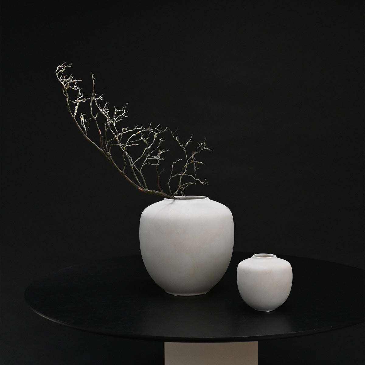 Sunao-vase-dark-with-branch